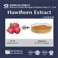 natural food supplement hawthorn berry fruit extract
